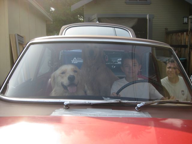 Here is me and my dogs in the car.