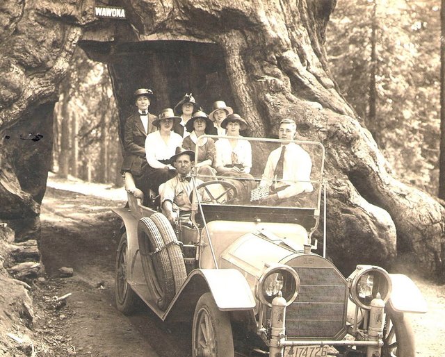 Photos taken of tourists passing through the Mariposa Grove drive thru tree (now fallen, mainly because of the hole)