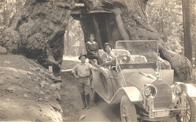 My favorite - I can just hear the African American gent saying &quot;I want to sit in the driver's seat&quot; Grandpa doesn't look amused.