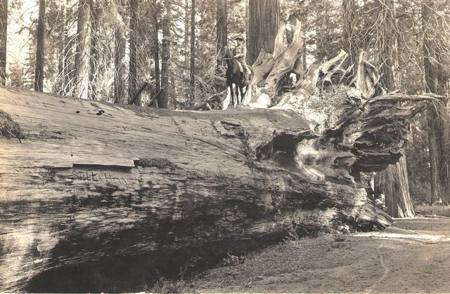 A horseman on the Fallen Giant - not something anyone does anymore for sure