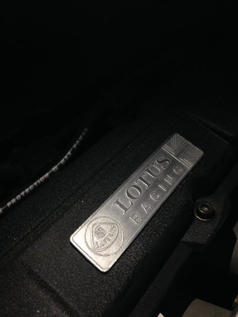 picture of lotus badge on valve cover small.jpg