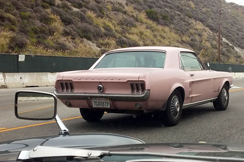 On PCH, a young woman driving a pink Mustang with &quot;Cupcake&quot; written on the window.