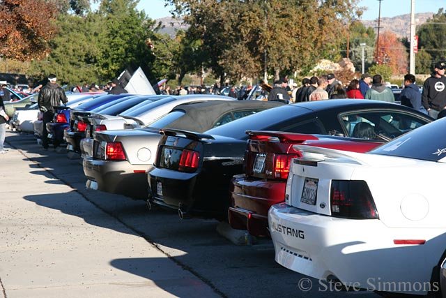 Mustangs at Supercar Sunday