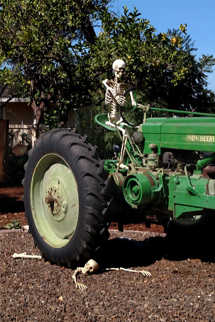 skeleton-tractor.jpg