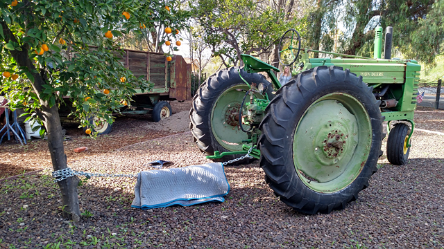 1946 John Deere AN